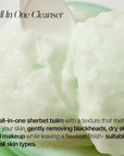 shaishaishai GREEN PAPAYA Pore Deep Cleansing Balm