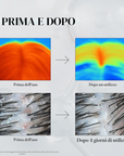 VT PDRN REEDLE SHOT HAIR AMPOULE 100dL