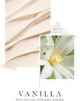 BEAUTY OF MAJESTY Perfume Body Lotion