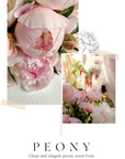 BEAUTY OF MAJESTY Perfume Body Lotion