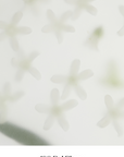 de mi flor Body Lotion