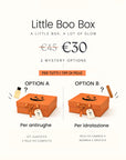 HALLOWEEN MYSTERY BOX
