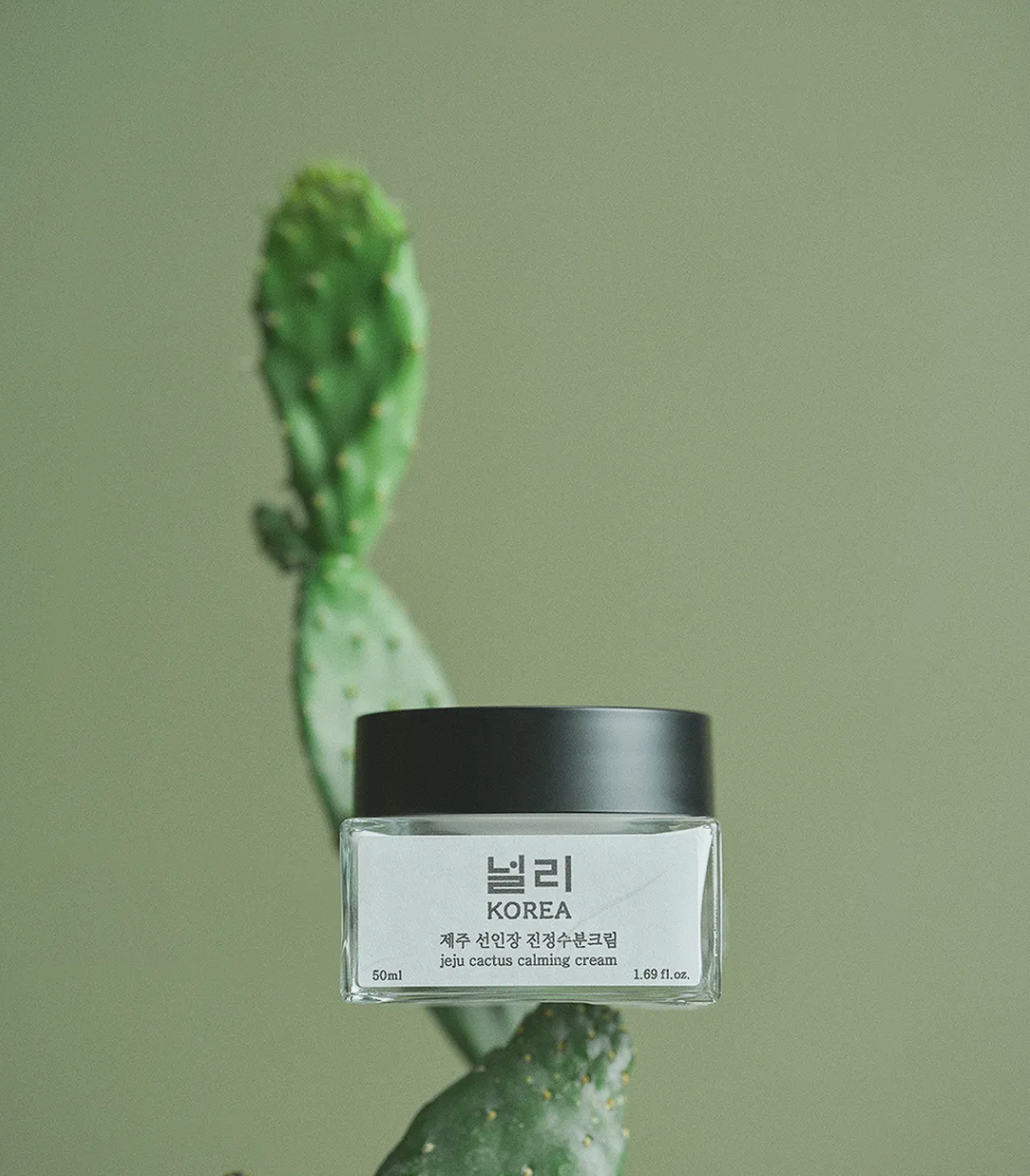 NULLI JEJU CACTUS CALMING CREAM