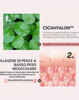 VT CICA COLLAGEN CREAM