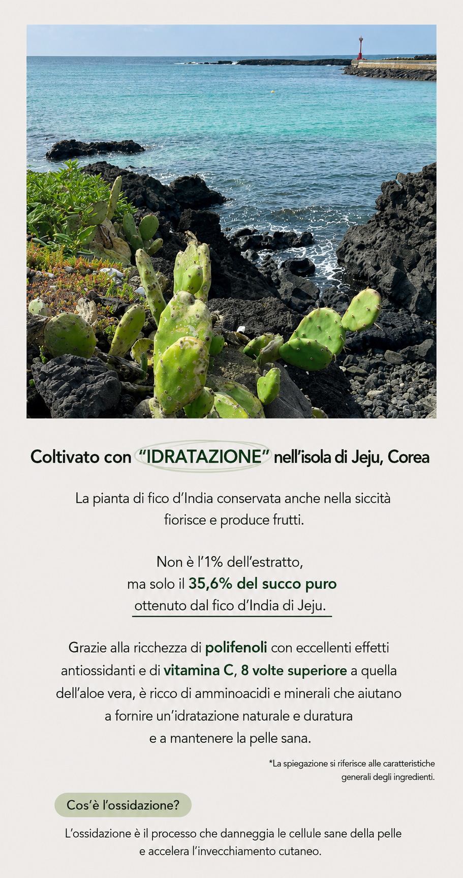 NULLI JEJU CACTUS CALMING CREAM