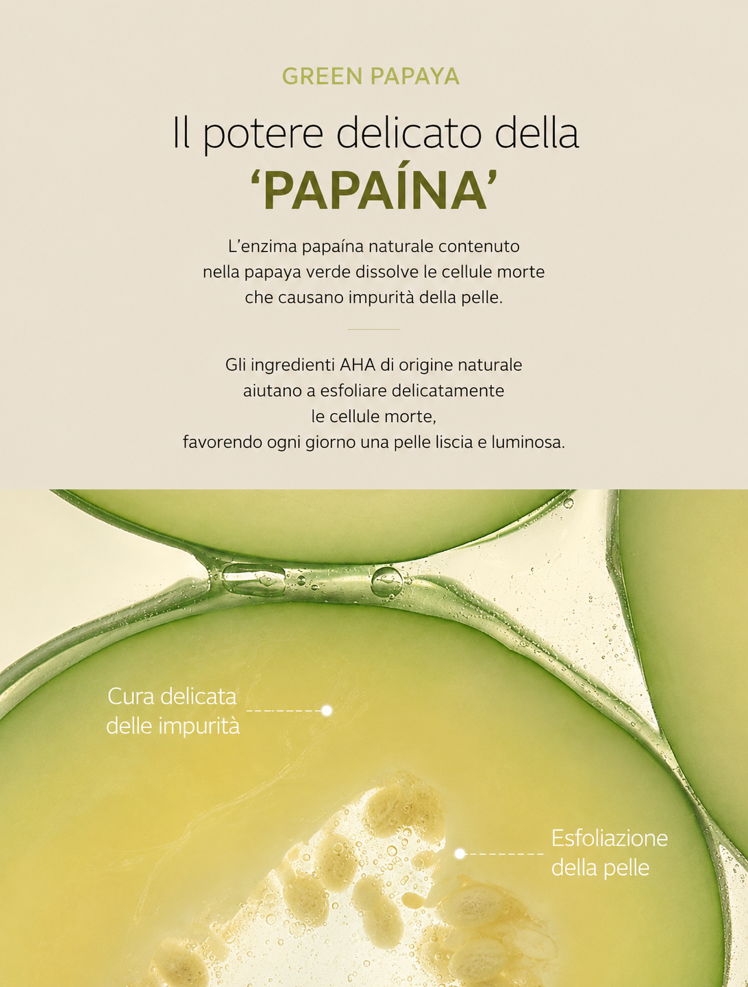shaishaishai GREEN PAPAYA pH Balanced Cleanser