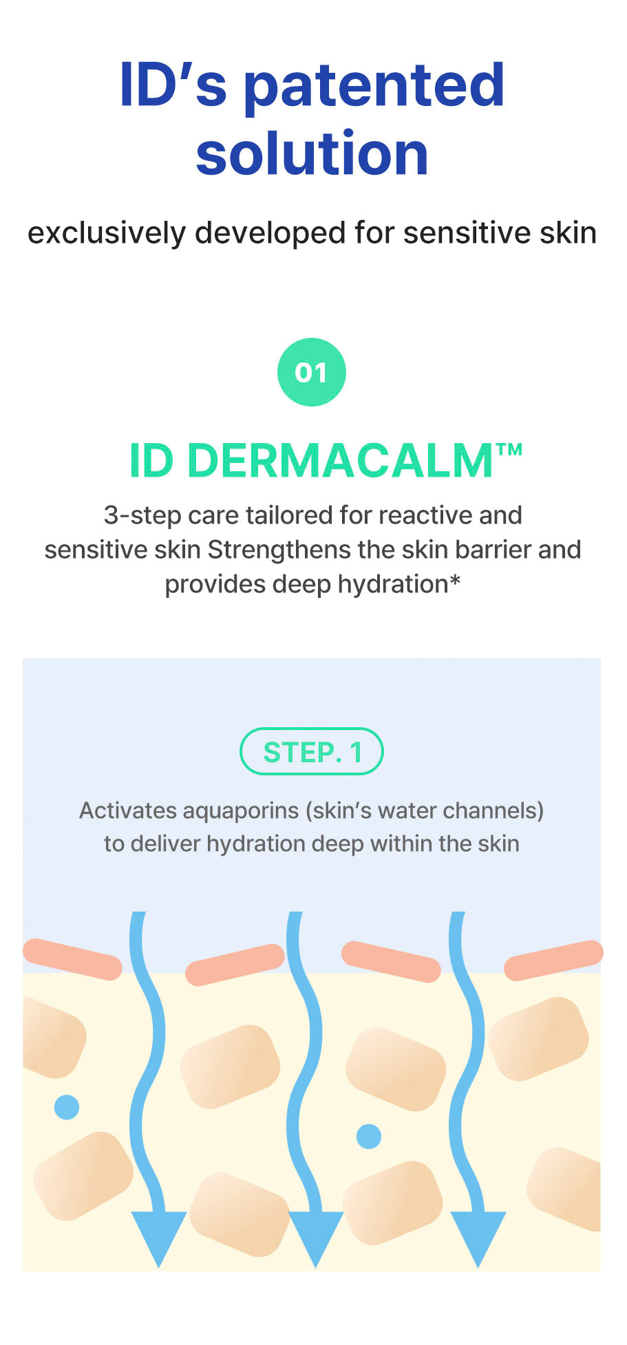 idPLACOSMETICS REAL AFTER CARE CREAM